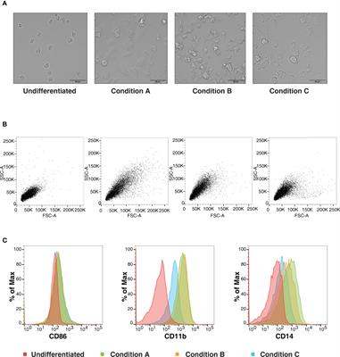 Comparative Proteomic Analysis Reveals Varying Impact on Immune Responses in Phorbol 12-Myristate-13-Acetate-Mediated THP-1 Monocyte-to-Macrophage Differentiation